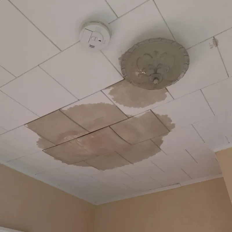 Ceiling Water Damage Repair in Independence, IA