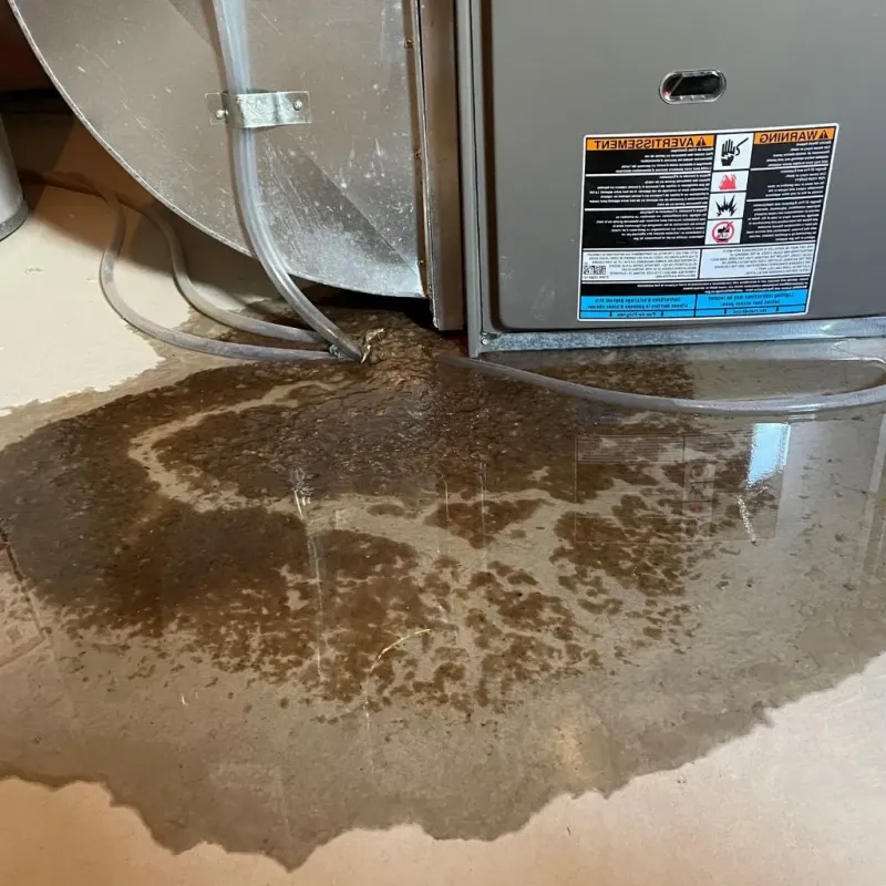 Pipe Burst and Leak Restoration in Independence, IA